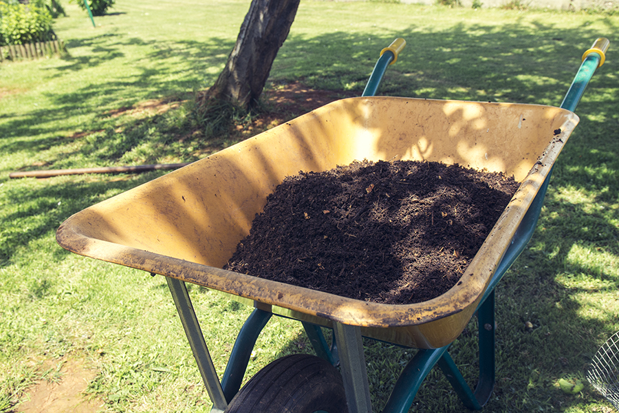 Compost